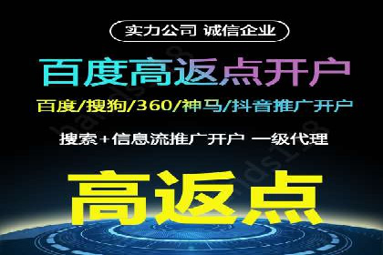 百度竞价排名案例揭秘：广告创意的重要性